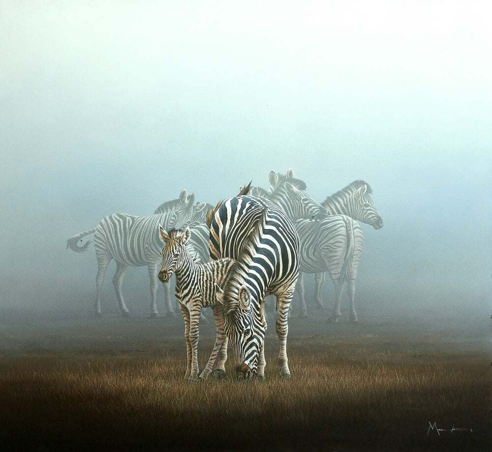 Group of zebras in a field with misty background finished artwork.