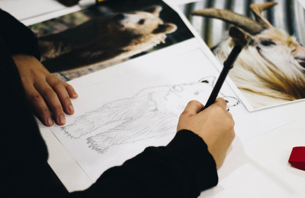 A hand drawing a realistic bear in pencil.