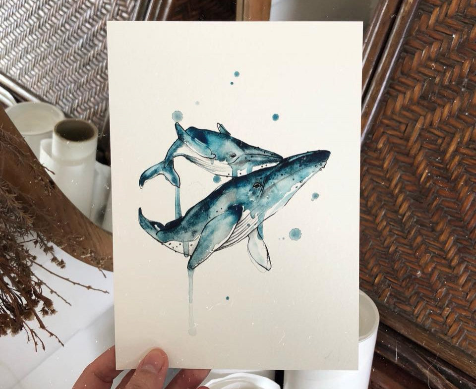 Two whales painted in watercolours.