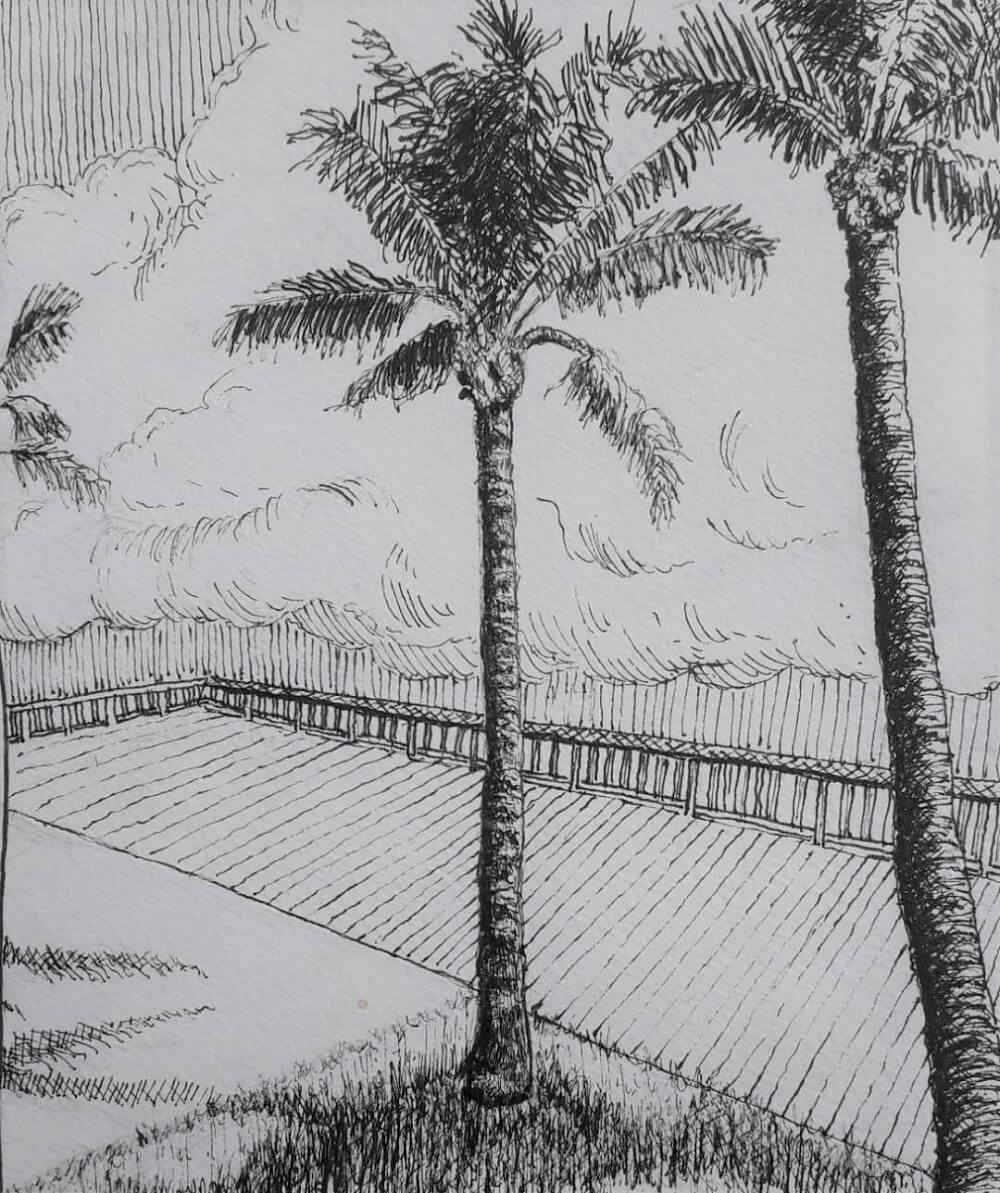 Drawing of two palm trees drawn in pen.