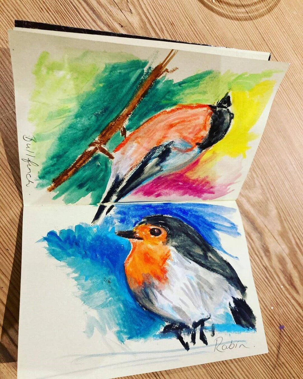 Two colourful robins side by side drawn in watersoluble oil pastel.