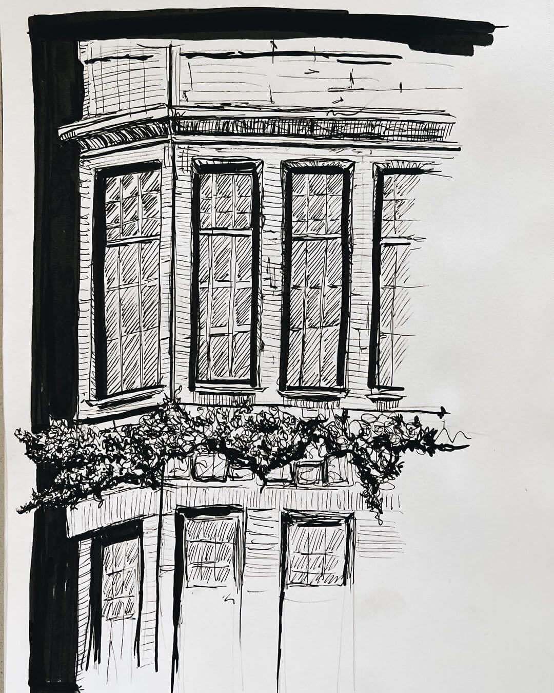 Pen and ink drawing of a French style building with windows and flower boxes.