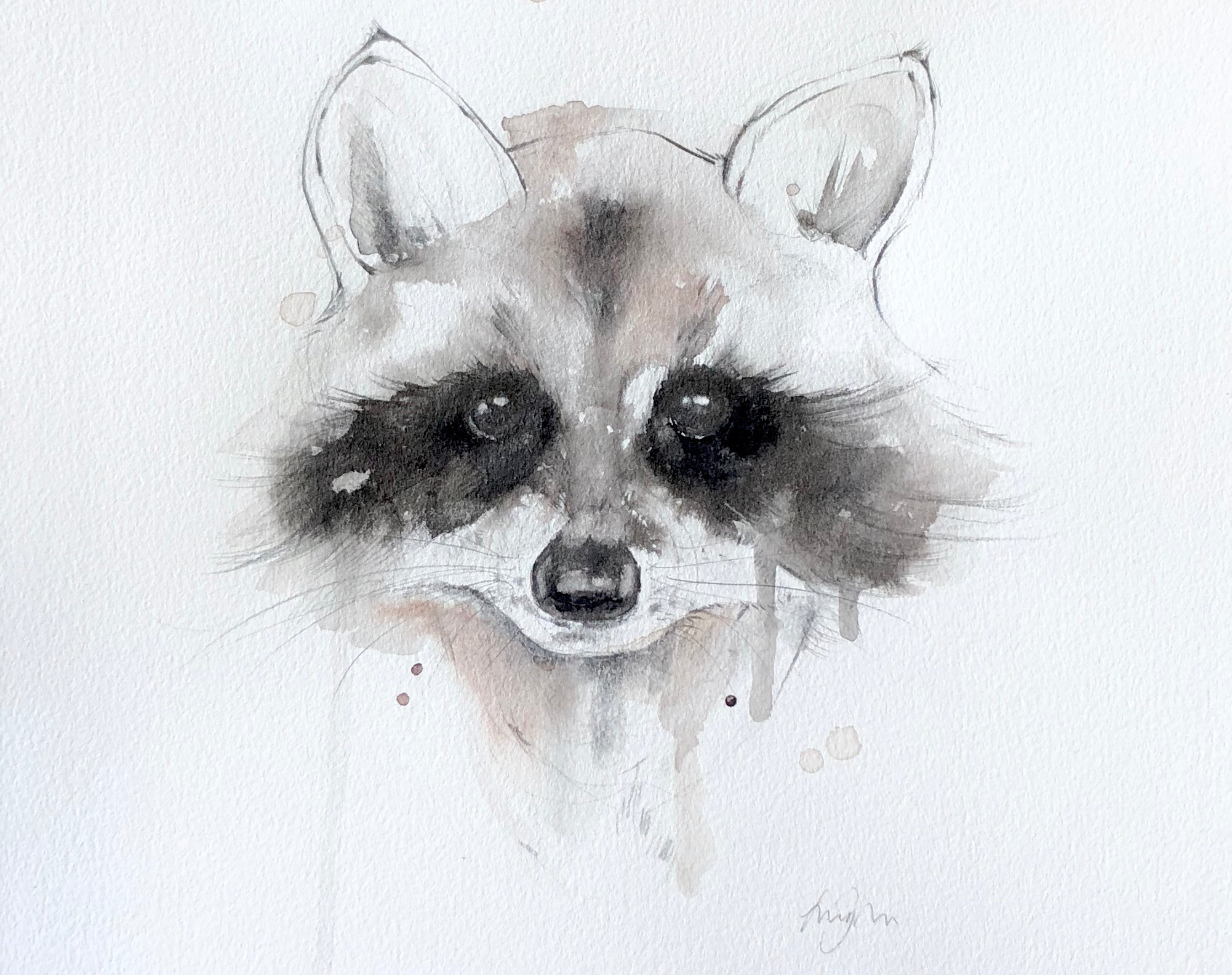 Realistic watercolour drawing of a racoon.