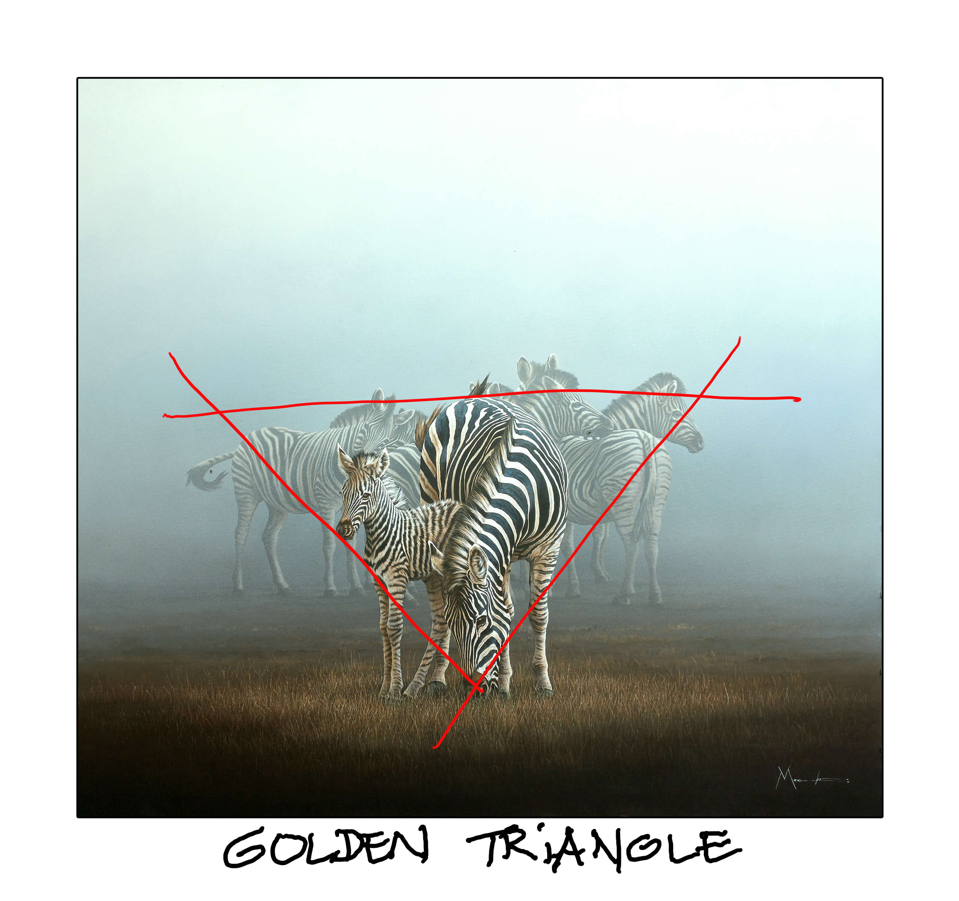 Dawie Mocke's artwork of zebras with the golden triangle drawn on top to demonstrate.