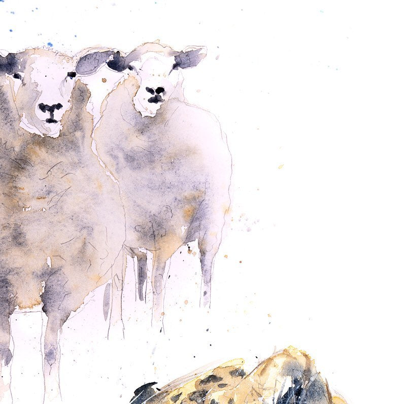 An abstract style watercolour of two sheep standing next to one another with continous lines.