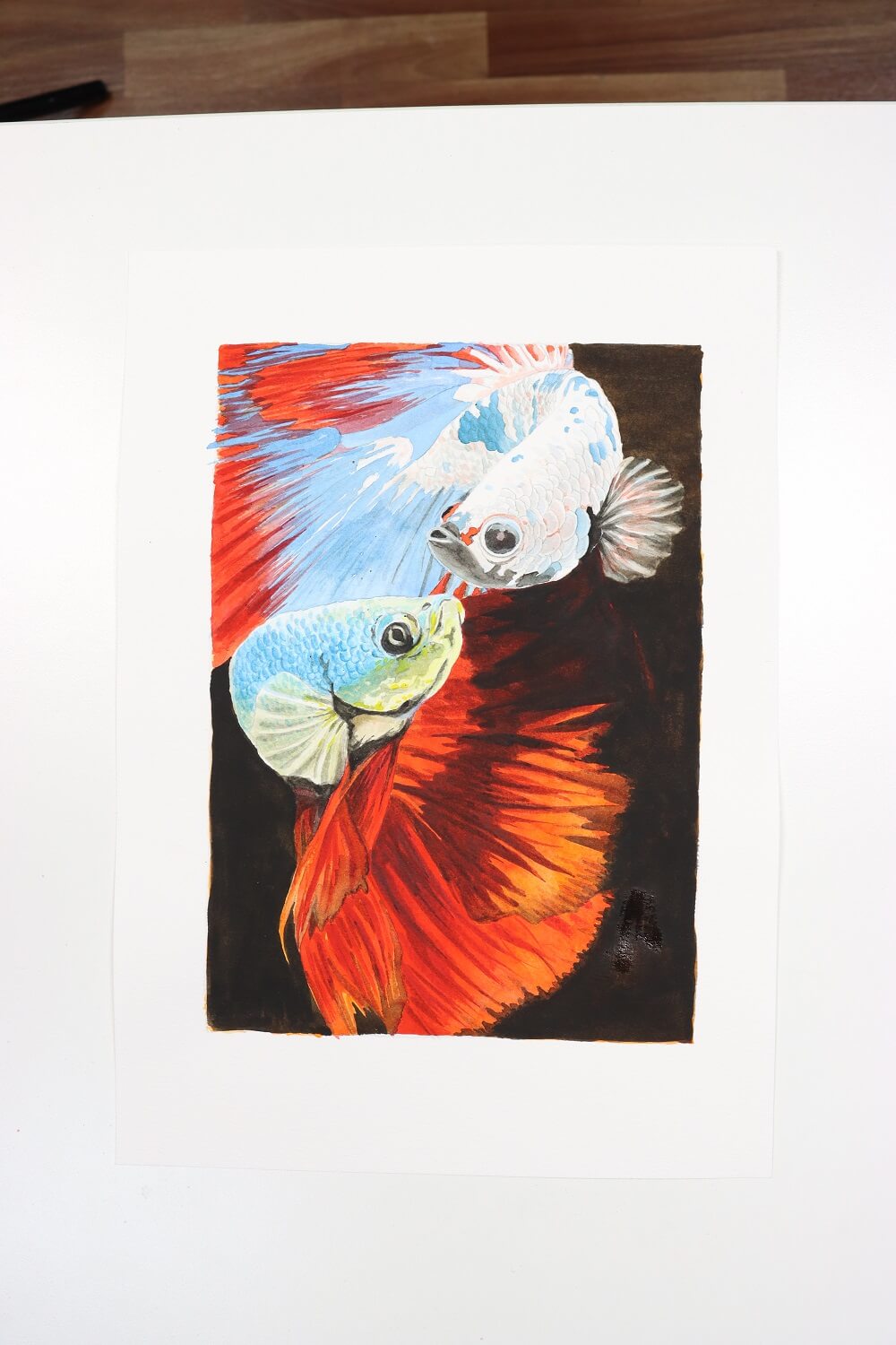 Artwork of fish created in bright watercolour. 