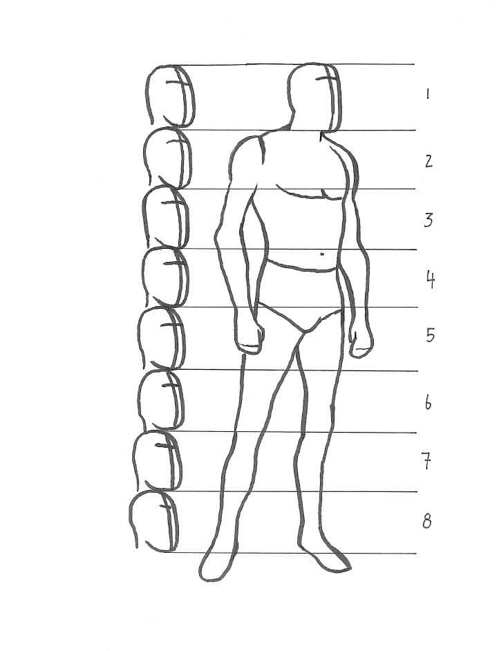 Drawing showing proportion of a person.