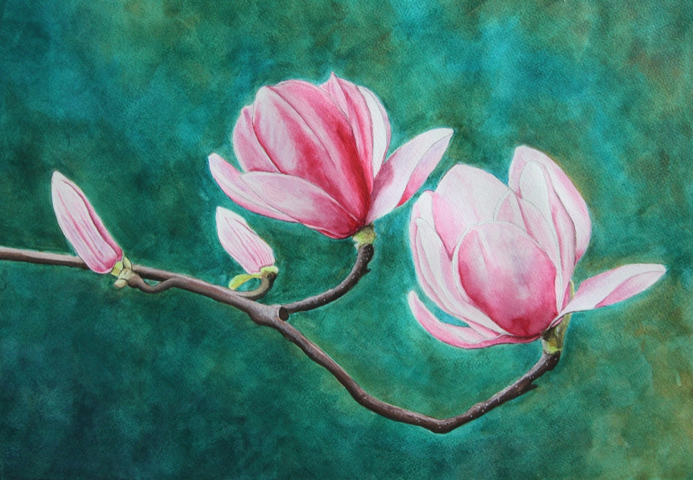 Completed watercolour painting of two pink magnolias.