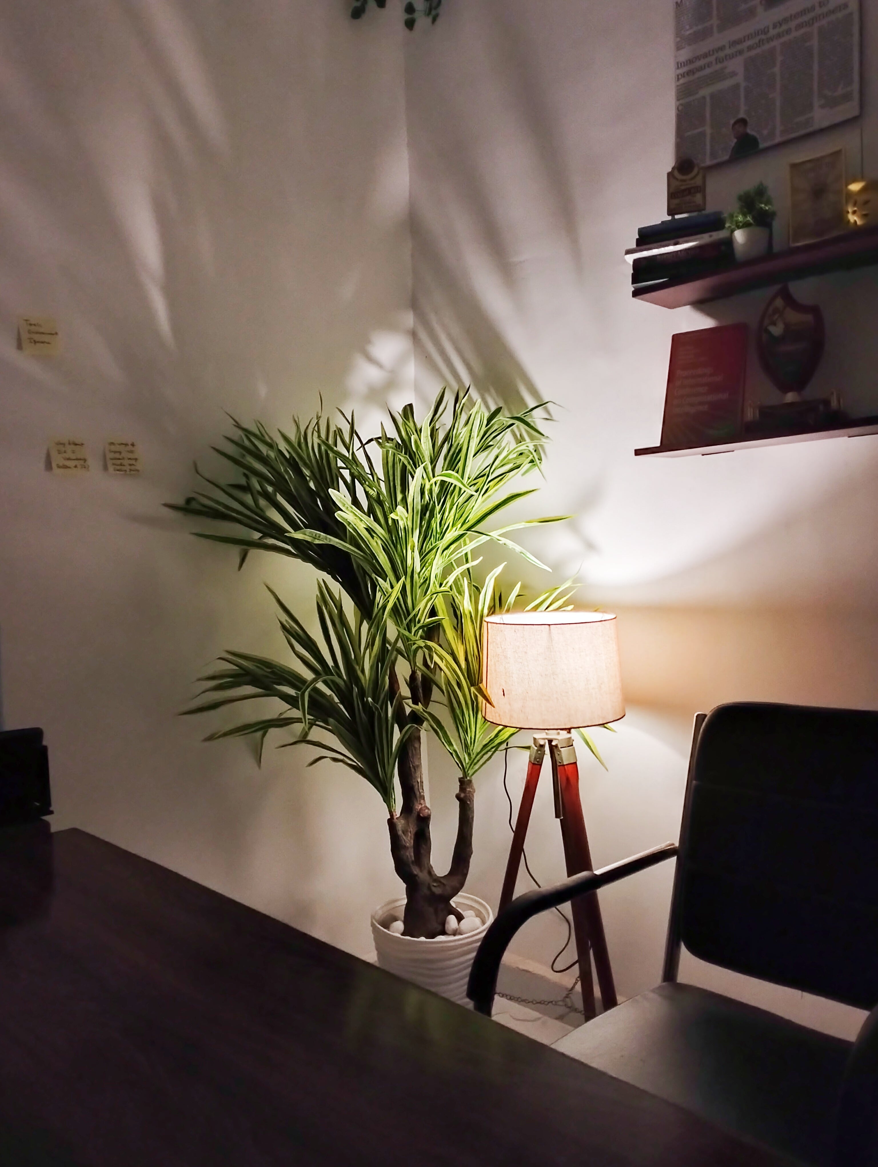 3. Sonam's creative space with a plant and light in the corner of the room