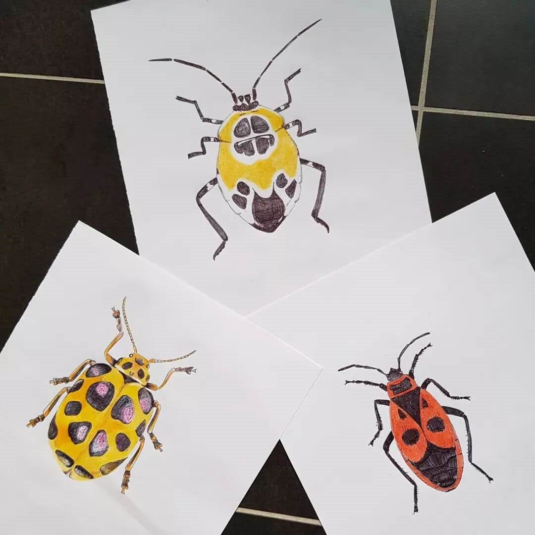 3. Three pieces of white paper with various coloured beetles drawn