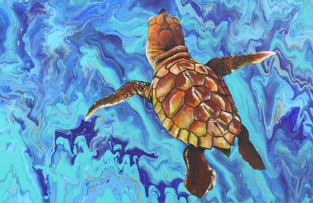 A turtle painting.