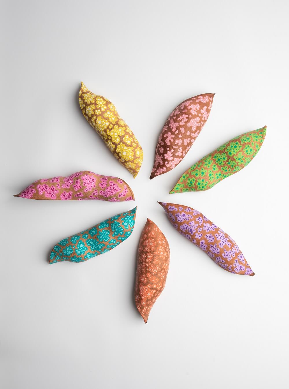 Colourful and delicately painted seedpods laying in a circle with various designs.