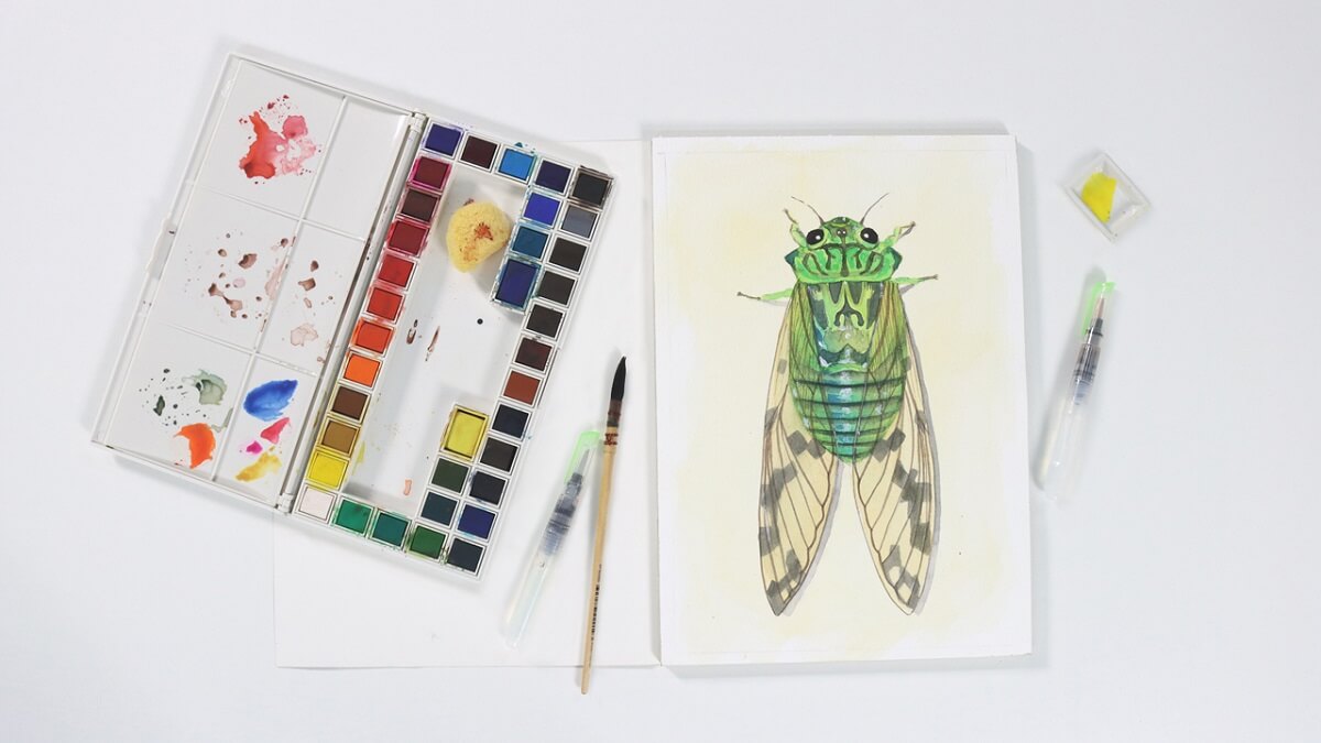 4. Drawing of a cicada painted in watercolour next to an open watercolour palette with brushes