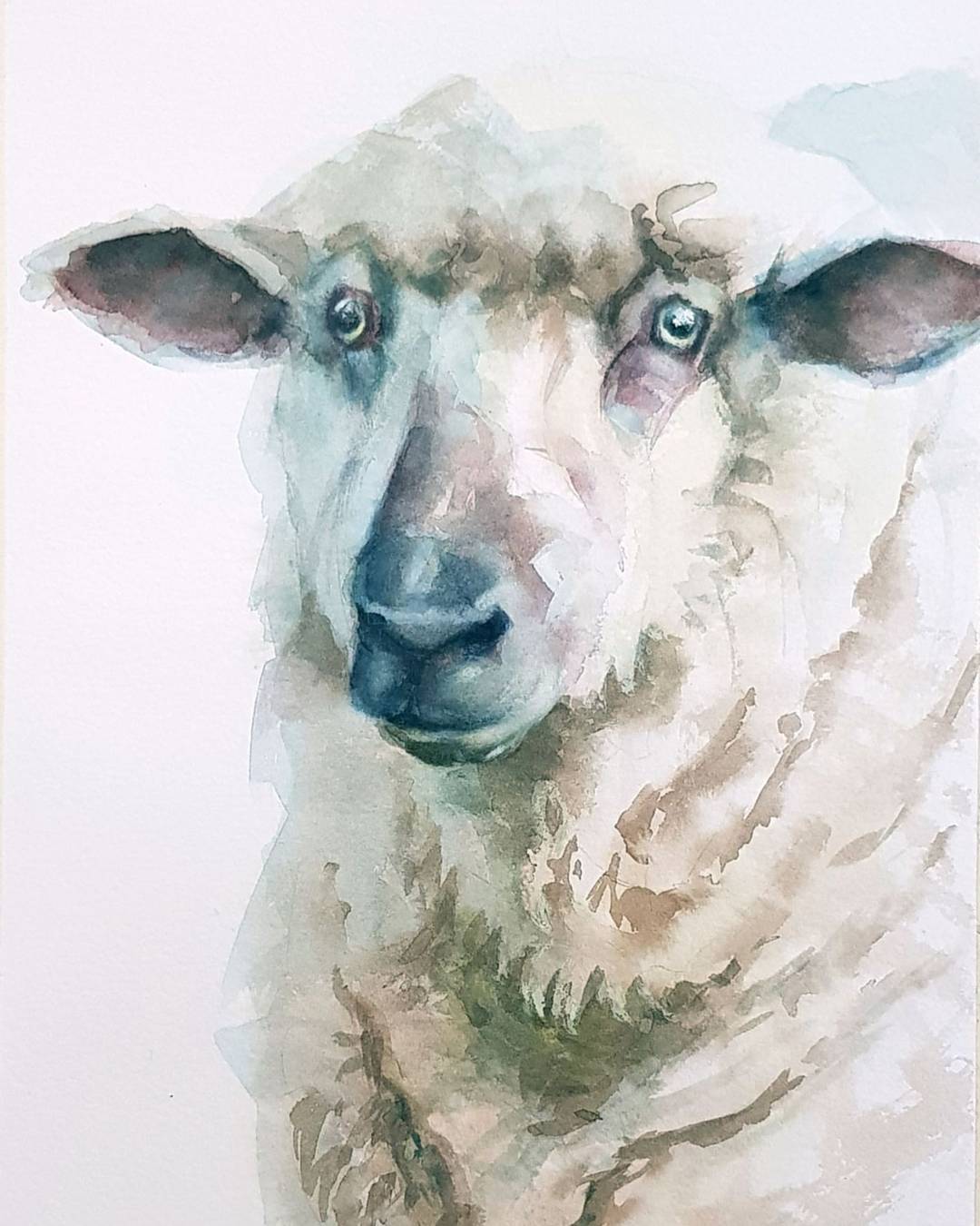 A watercolour painting of a sheep gazing into the distance.