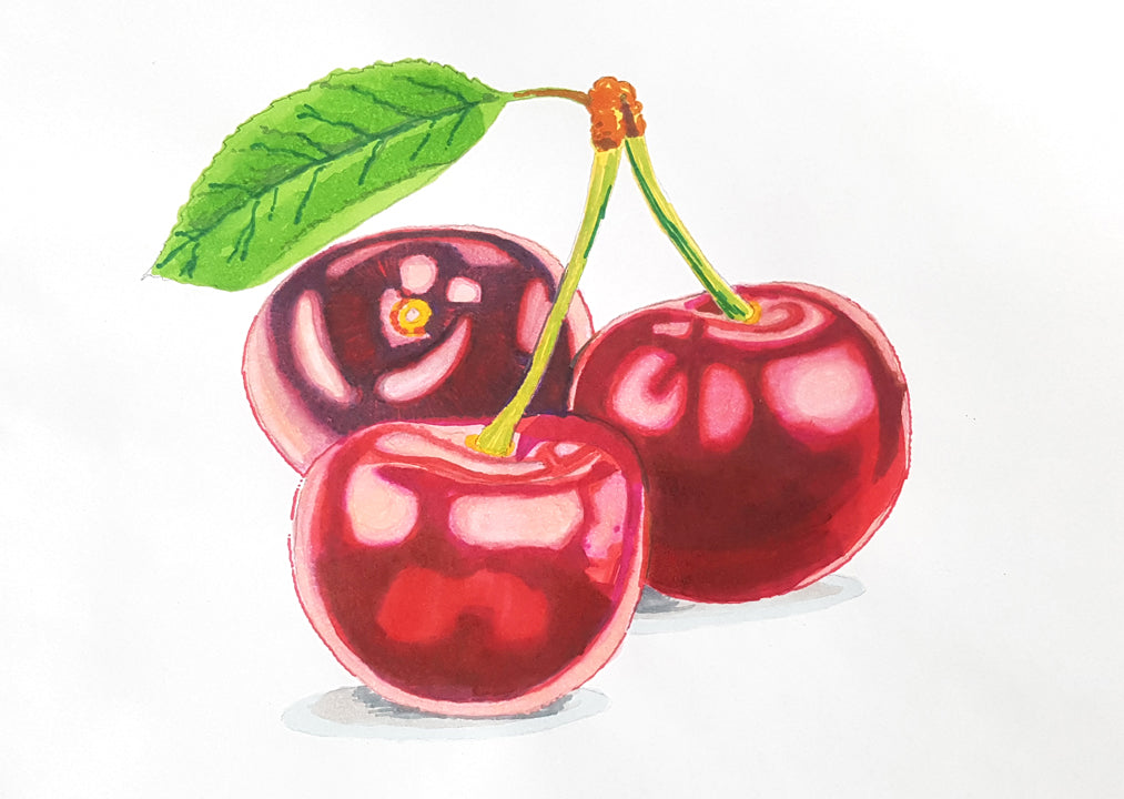 5. Cherry artwork made with Dual Tip Alcohol Art Markers