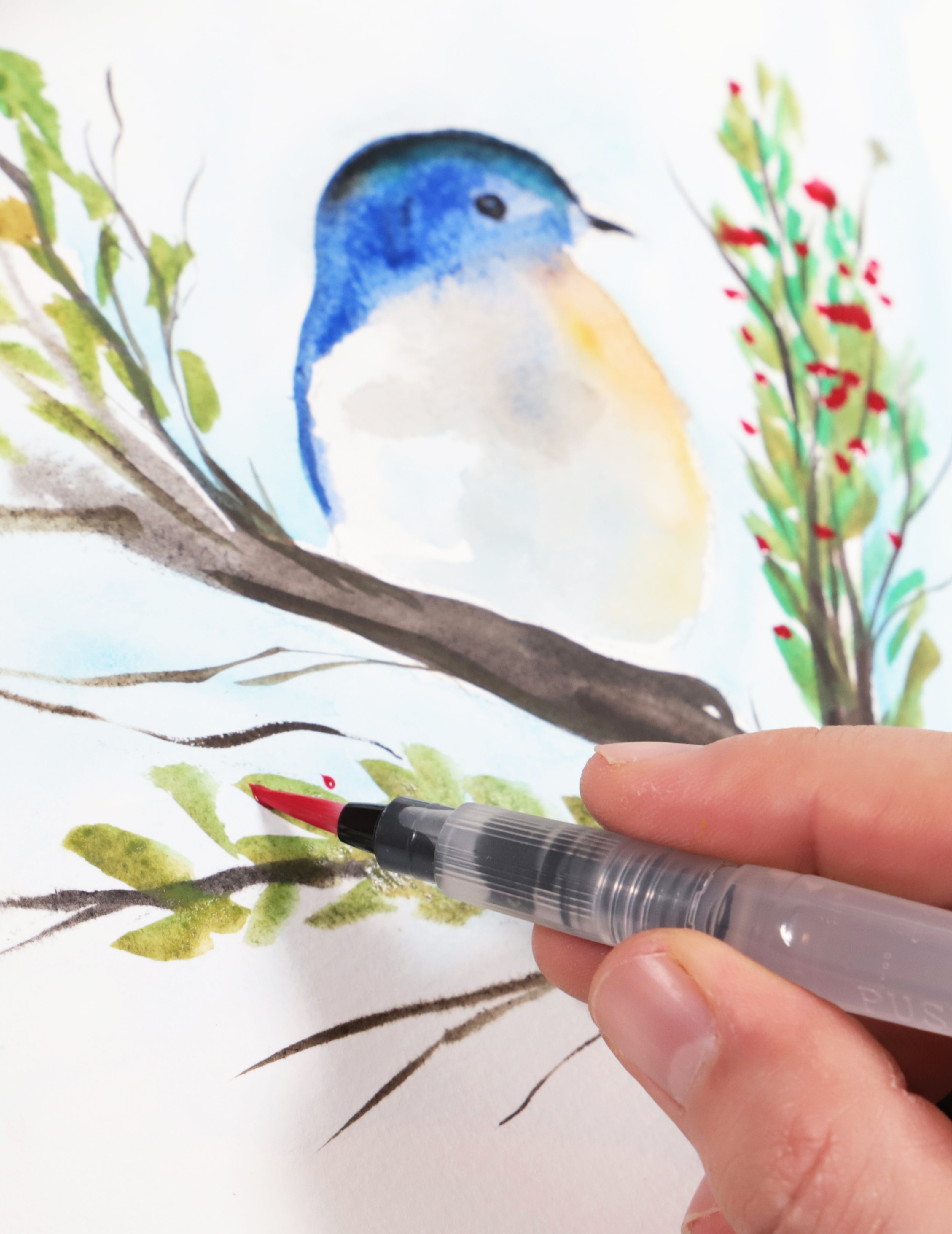 5. Waterbrush being used to add red details to a watercolour bird painting