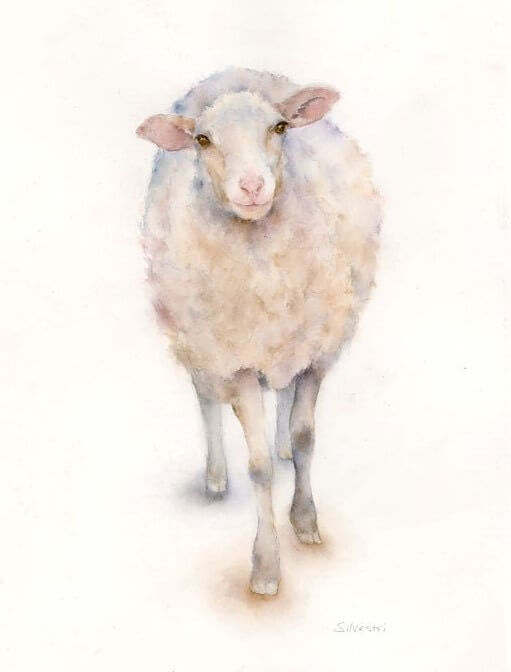 A realistic watercolour painting of a sheep named Shannon.