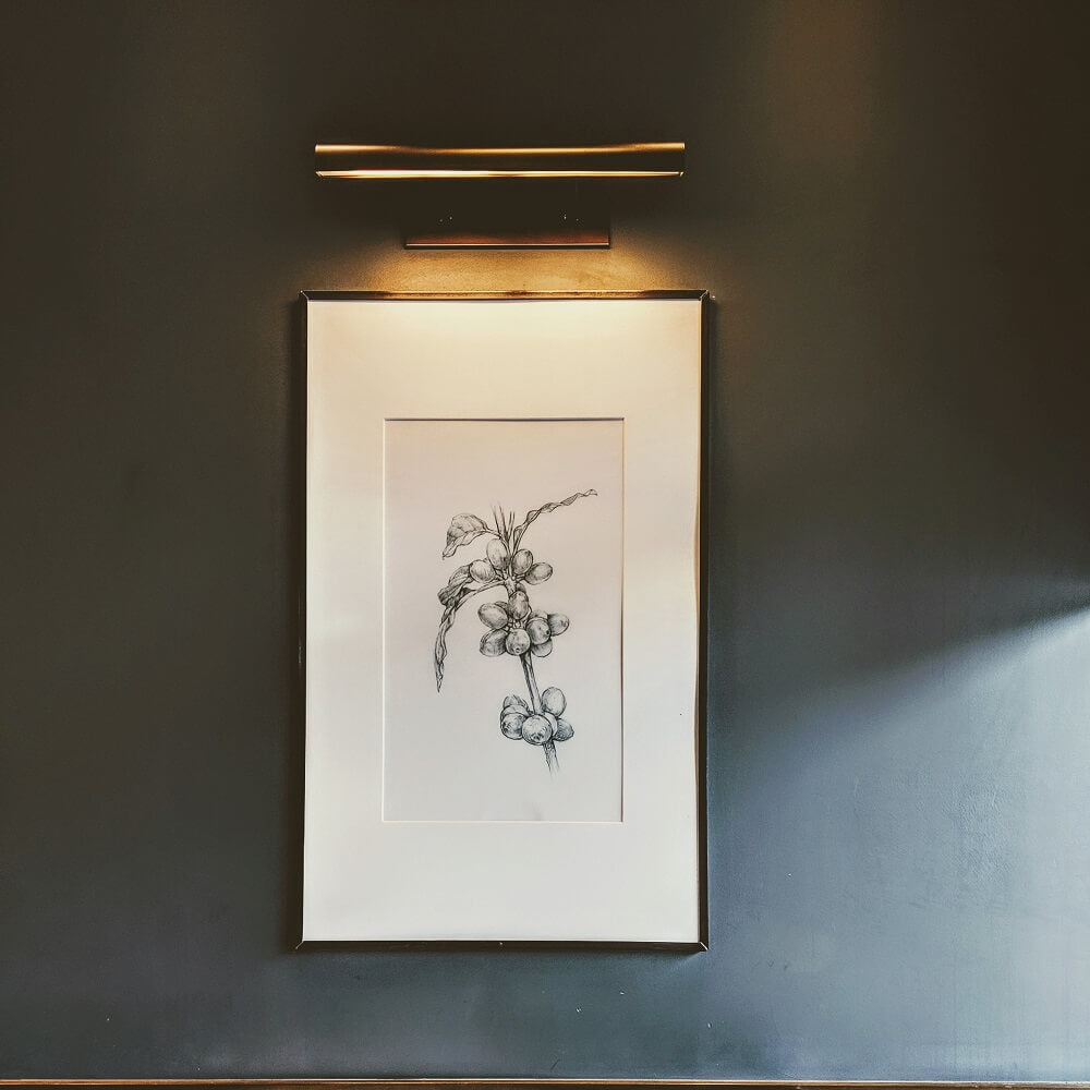 Fruit drawing framed on a wall with light on top. 