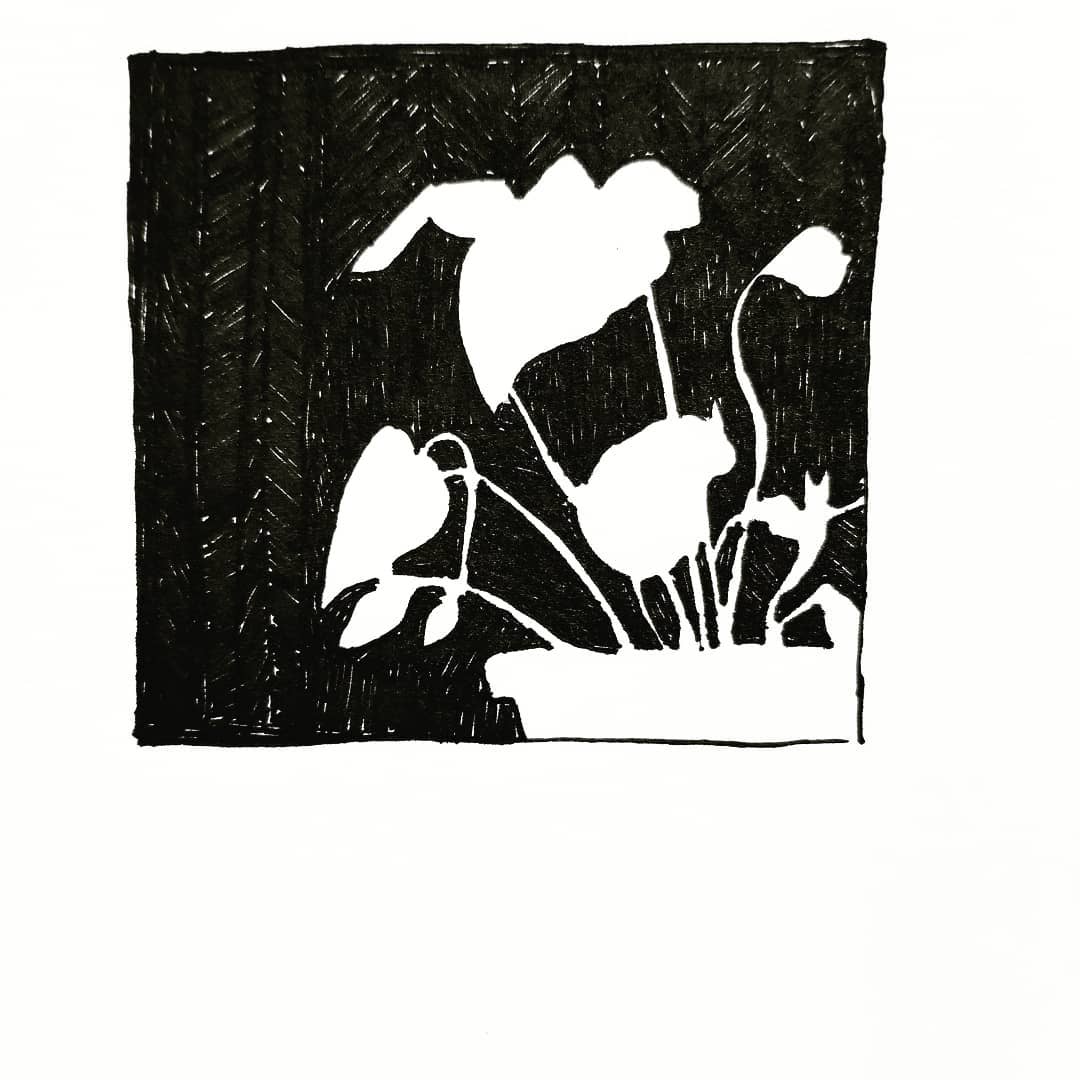 8. A negative space drawing of a pot plant with a black background.