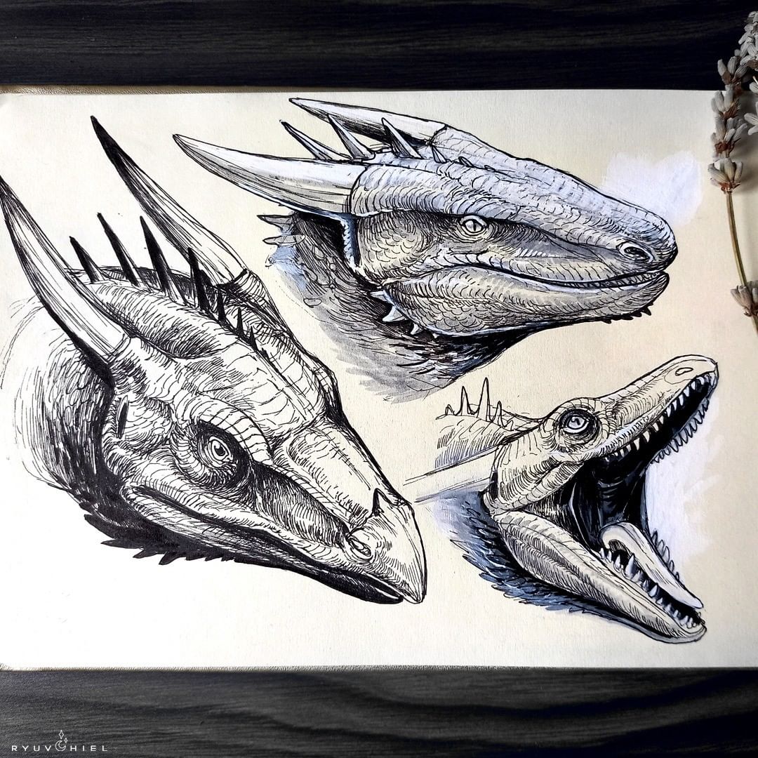 8. @ryuvhiel sketches of dragon heads in different positions using ink