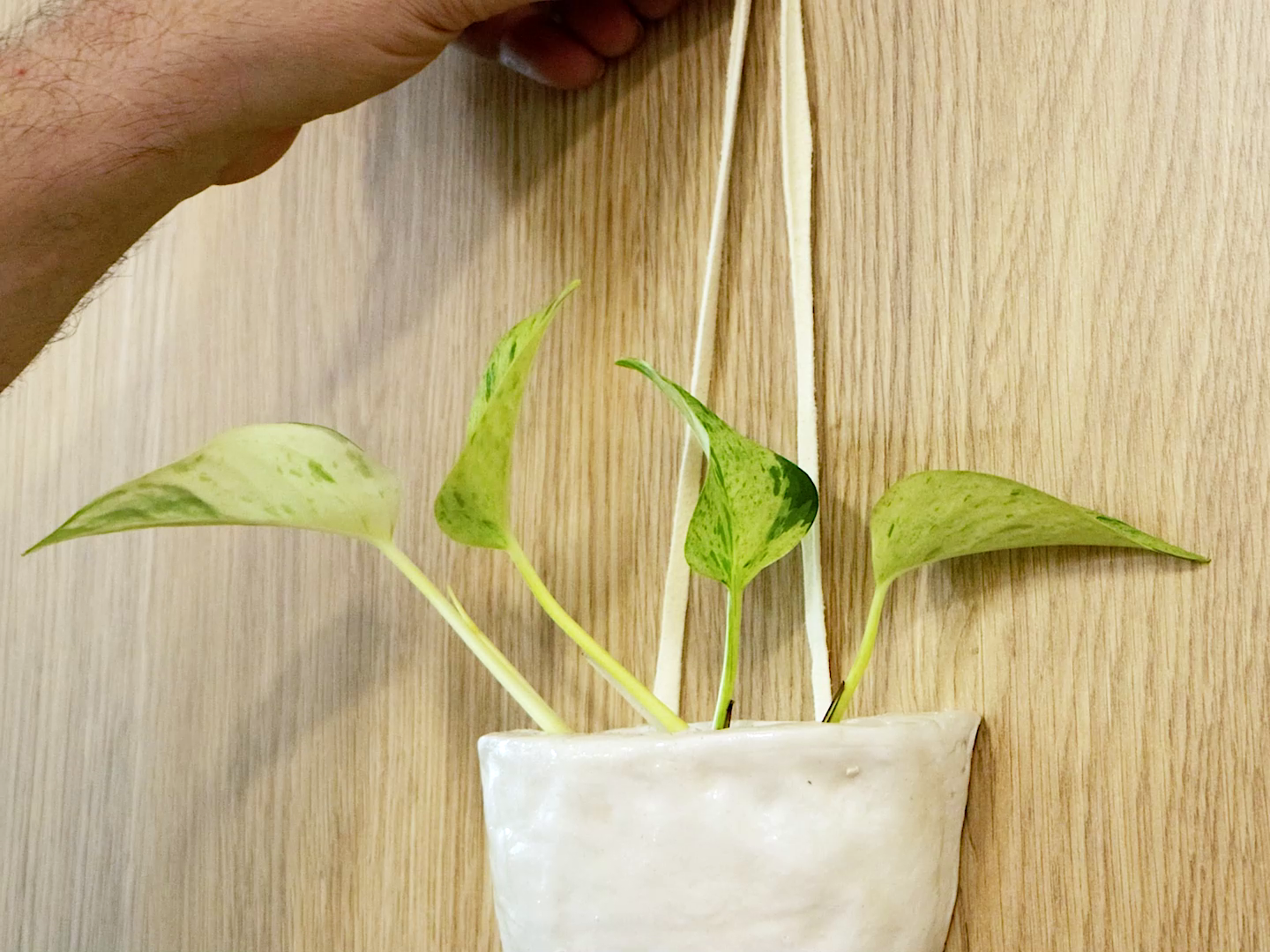 Air dry clay hanging planter with plant in it