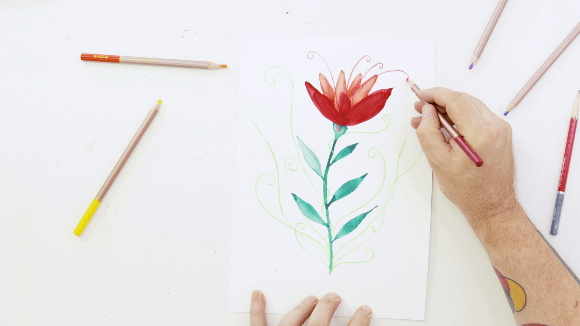 Hand drawing with a pastel pencil to create a flower drawing.