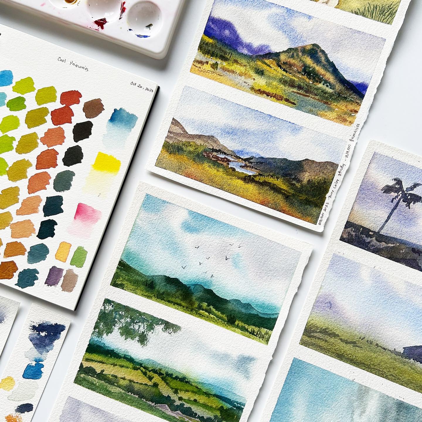 Series of watercolour landscape paintings surrounded by colour swatching