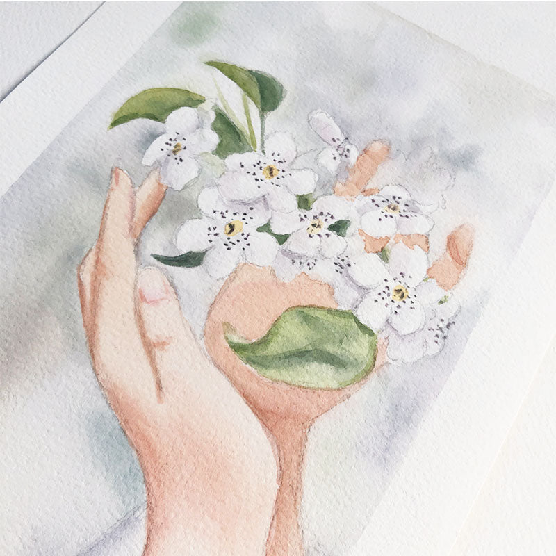 Watercolour painting of a hand holding white flowers
