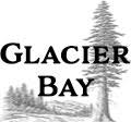 Glacier Bay wood stove glass