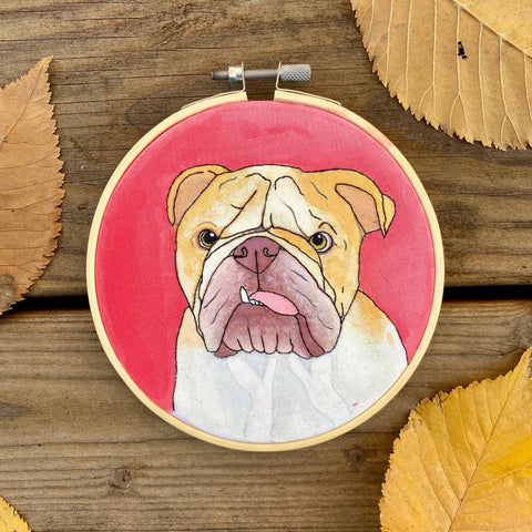 Bulldog pet portrait