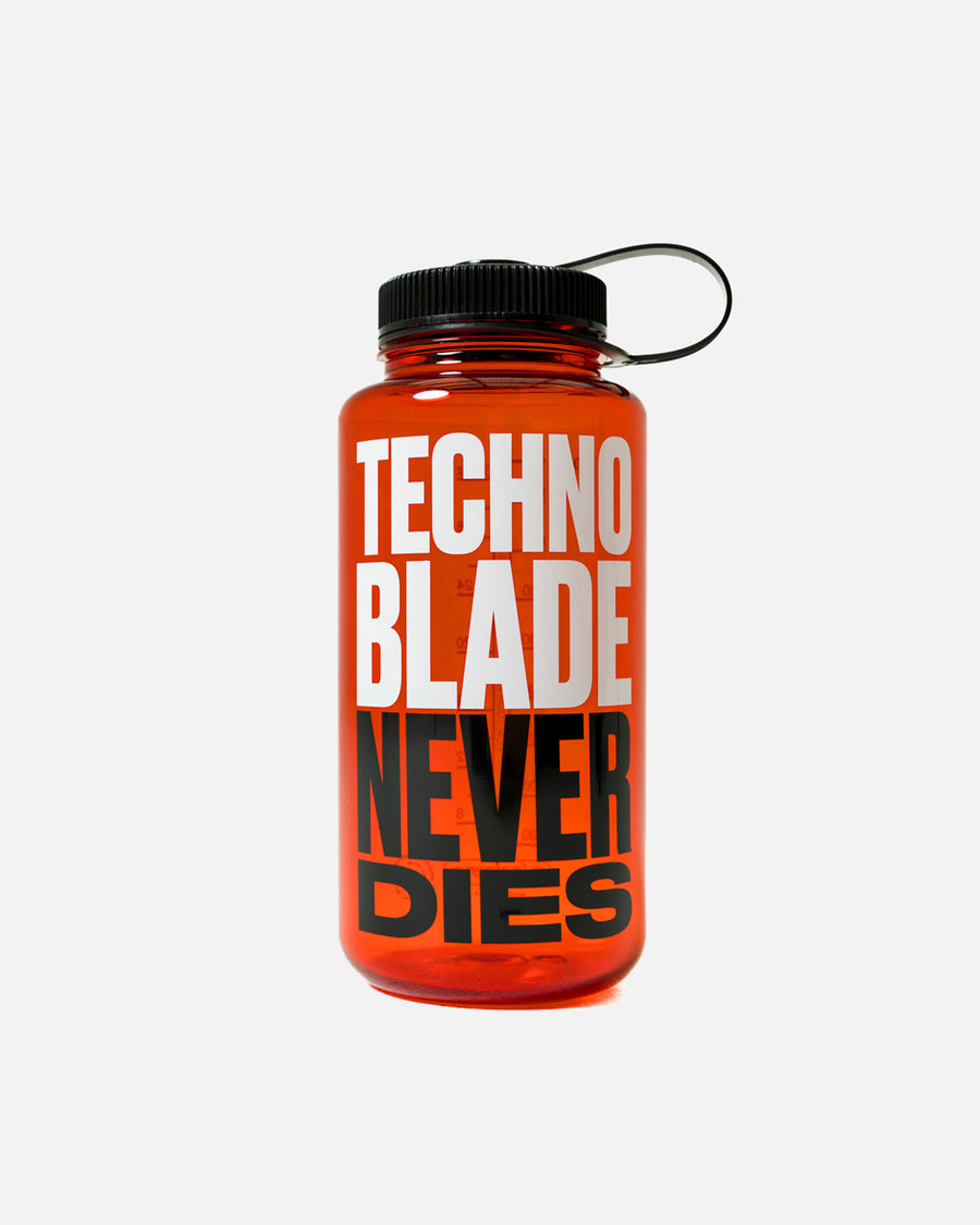 Technoblade never dies Poster for Sale by FellowCorvid