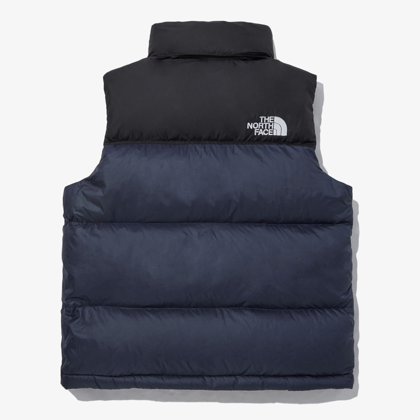 THE NORTH FACE] MenS 1996 ECO NUPTSE VEST_ BLACK (NV1DP55A) グース