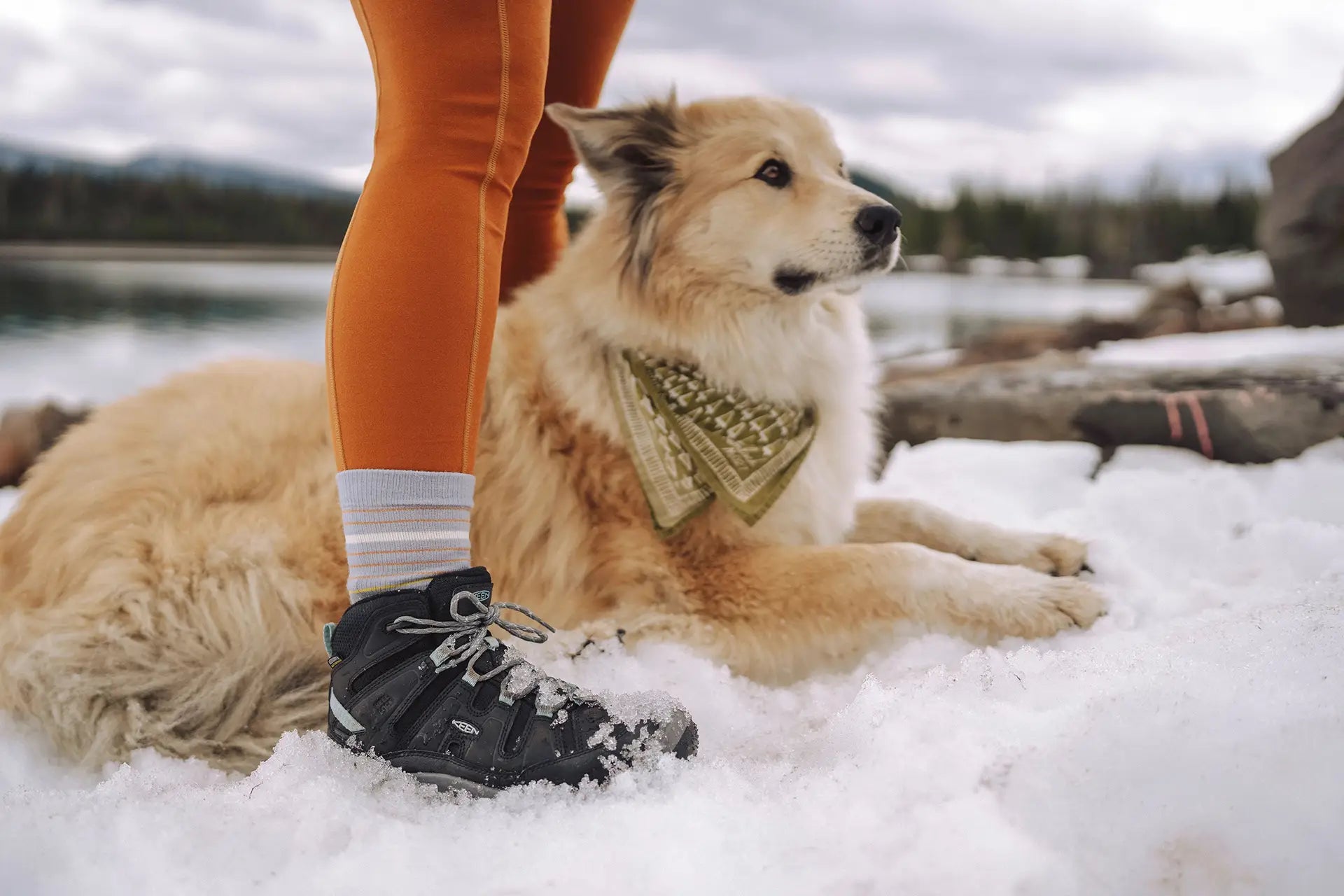 wandelschoenen winter