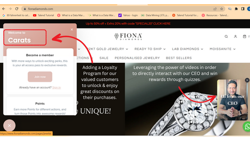 Homepage of Fiona Diamonds