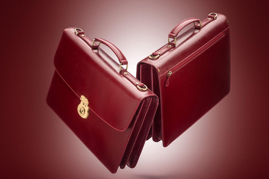 Harvard briefcase features