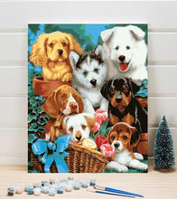 Load image into Gallery viewer, Lovely Dogs Paint by Numbers - Art Providore