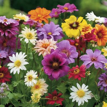 Guide complet sur l'entretien des fleurs vivaces pour un jardin durable1_YZ.jpg__PID:9dc77d15-6622-4880-9745-4fcce4f50383