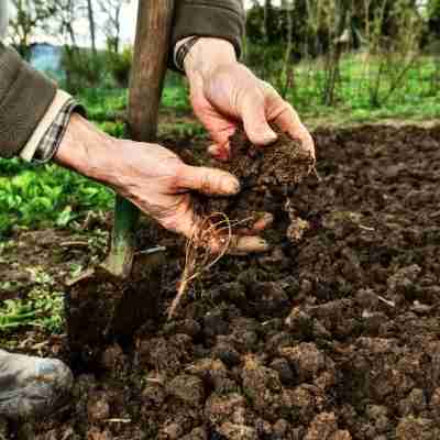 préparation du sol avant la plantation de vos plants potagers et aromatiques