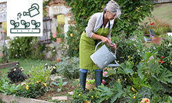 Un potager permet-il de faire des économies ?