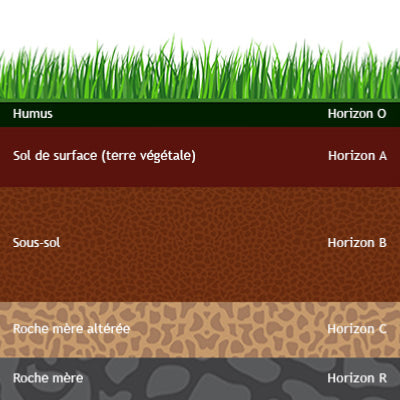 Texture du sol  Espace pour la vie