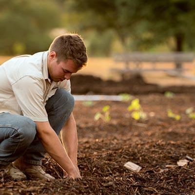 Homme en train de planter