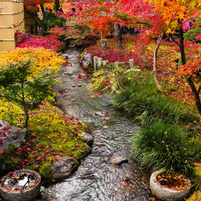 Au fond du jardin, une idée du jardin Zen