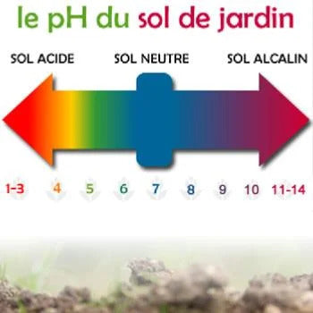 Le pH du sol de jardin