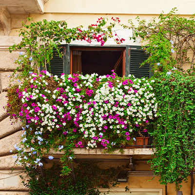 balcon fleuri