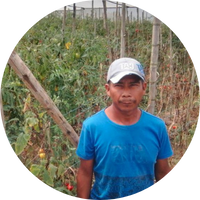 Luis from Colombia, Micro coffee farmer