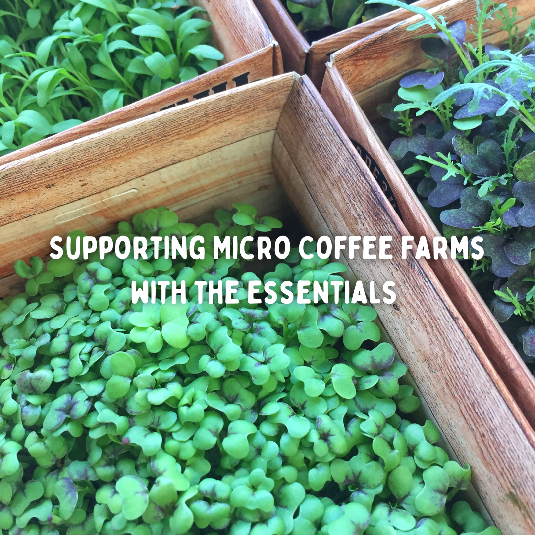 Supporting Micro Coffee Farms