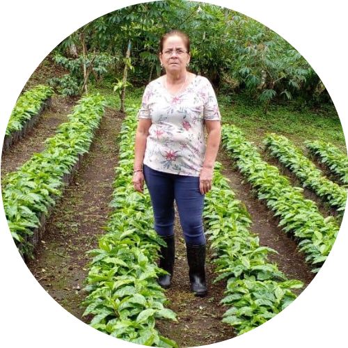 Luis from Colombia, Micro coffee farmer