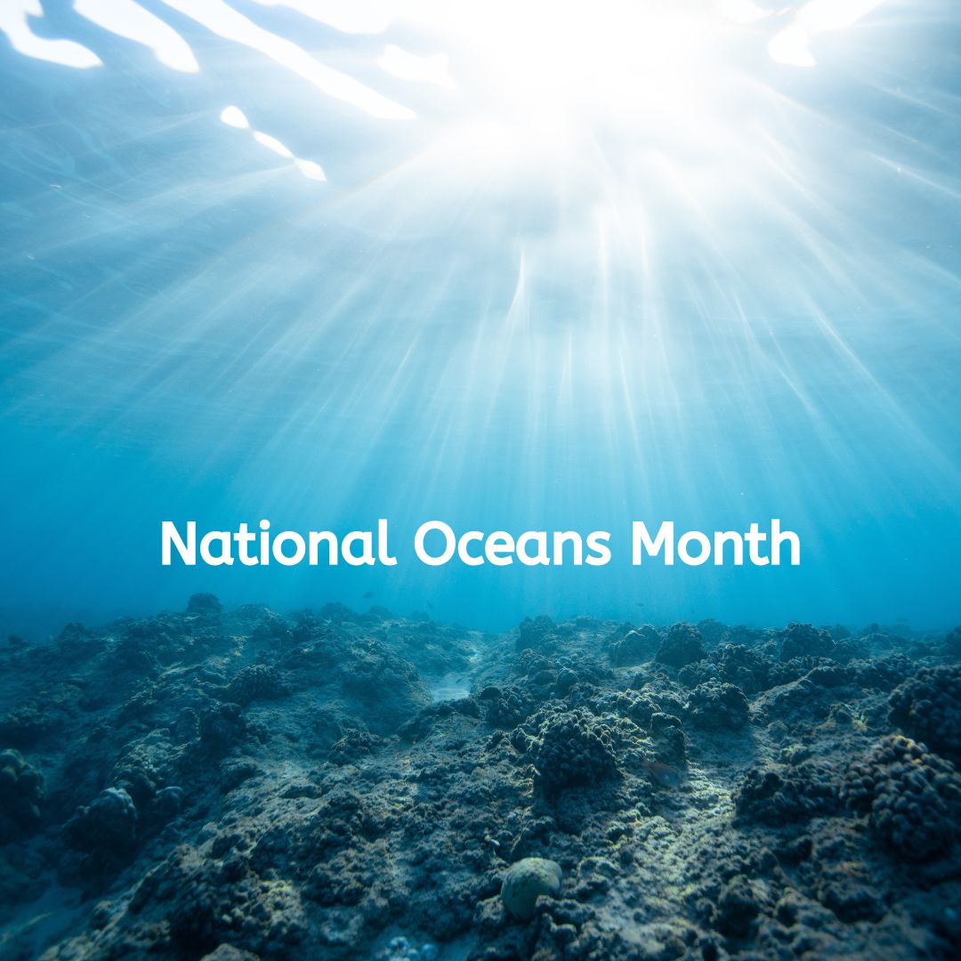 National Oceans Month: How to Buy Sustainable, Responsible Coffee