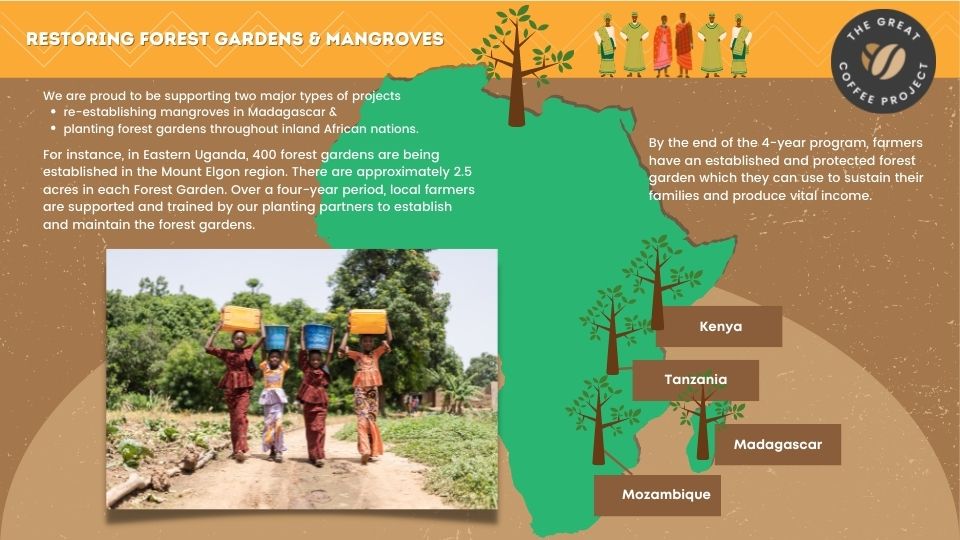 Where we plant trees to reforest