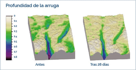 Imagen 3D que muestra evolución de una arruga usando el aceite de Kahai o cacay de Mila Bonis. Los estudios clínicos in vivo del aceite de cacai o aceite de kahai de Mila Bonis Cosmética Natural demuestran su eficacia frente al envejecimiento